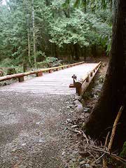 gabriola 11